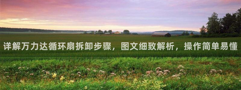详解万力达循环扇拆卸步骤，图文细致解析，操作简单易懂