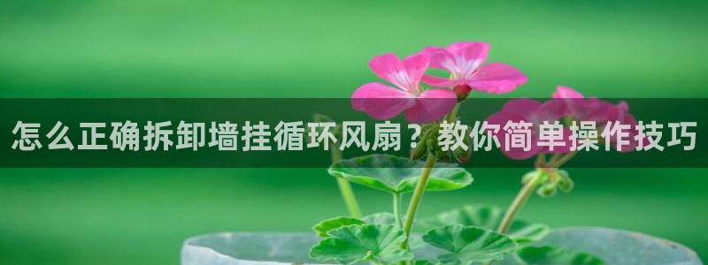 怎么正确拆卸墙挂循环风扇？教你简单操作技巧