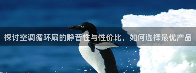 探讨空调循环扇的静音性与性价比，如何选择最优产品