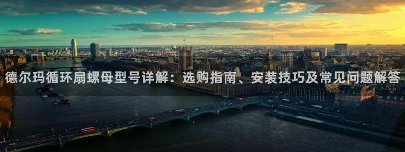 德尔玛循环扇螺母型号详解：选购指南、安装技巧及常见问题解答
