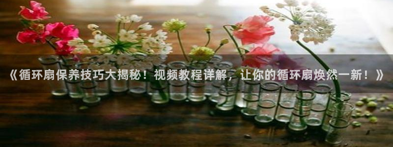 《循环扇保养技巧大揭秘！视频教程详解，让你的循环扇焕然一新！》