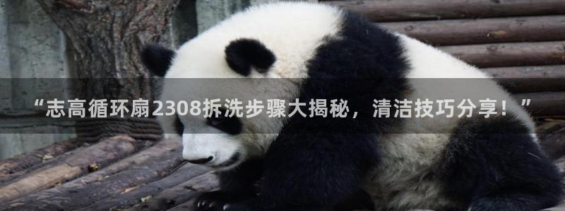 “志高循环扇2308拆洗步骤大揭秘，清洁技巧分享！”