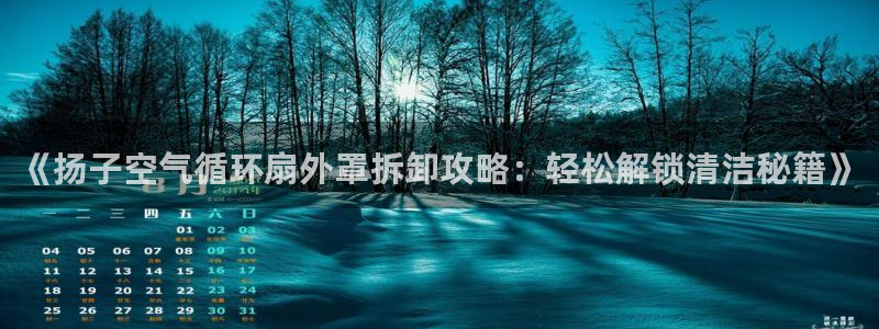 《扬子空气循环扇外罩拆卸攻略：轻松解锁清洁秘籍》