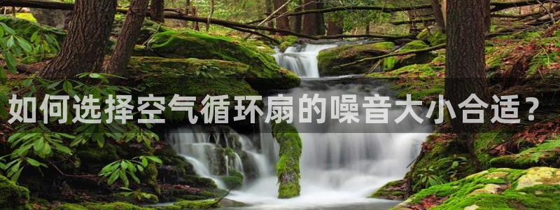 如何选择空气循环扇的噪音大小合适？