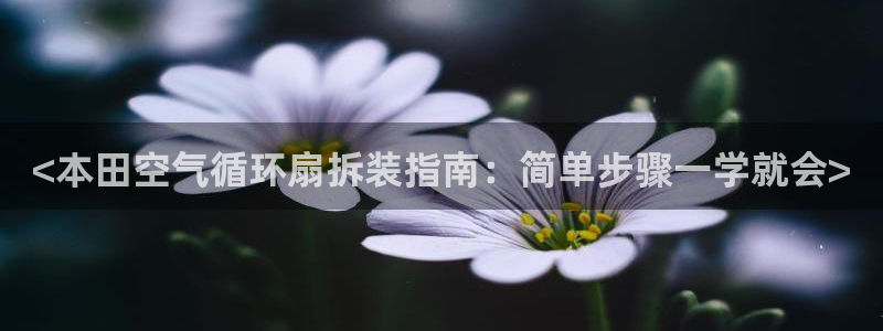 凯发官方:访问凯发.网站