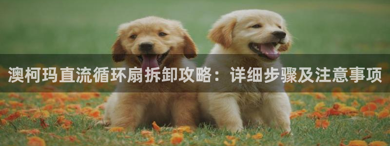 凯发是什么意思：澳柯玛直流循环扇拆卸攻略：详细步骤及注意事项