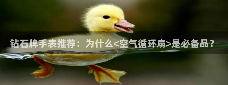 凯发手机客户端下载：钻石牌手表推荐：为什么<空气循环扇>是必备品？