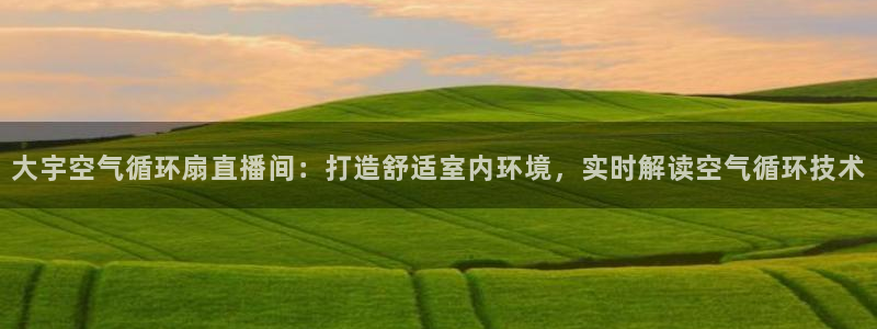 凯发首页登录：大宇空气循环扇直播间：打造舒适室内环境，实时解读空气循环技术