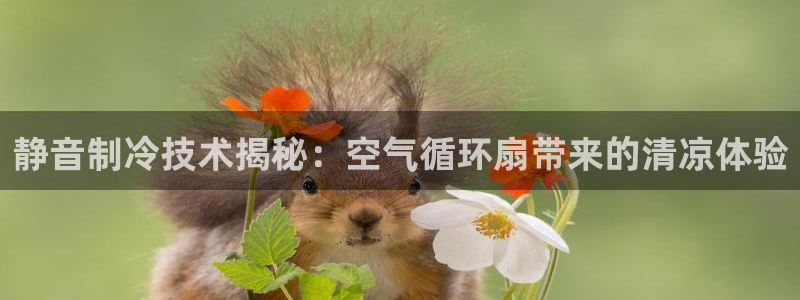 凯发k8娱乐官网入：静音制冷技术揭秘：空气循环扇带来的清凉体验