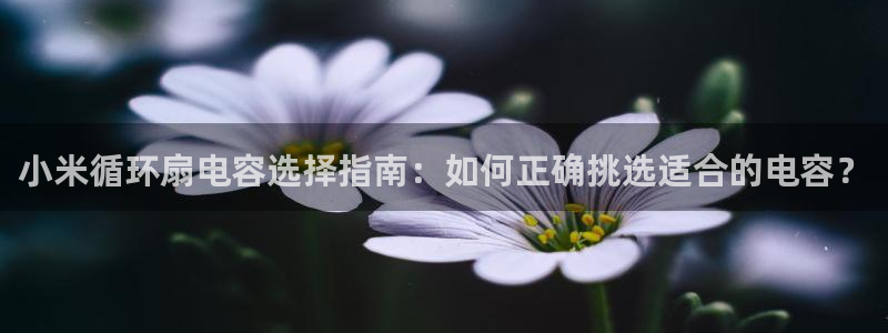 凯发k8娱乐官网手机端中心：小米循环扇电容选择指南：如何正确挑选适合的电容？