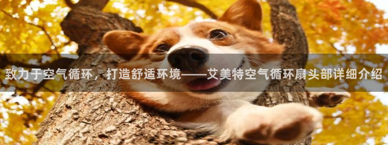 凯发国际app下载：致力于空气循环，打造舒适环境——艾美特空气循环扇头部详细介绍