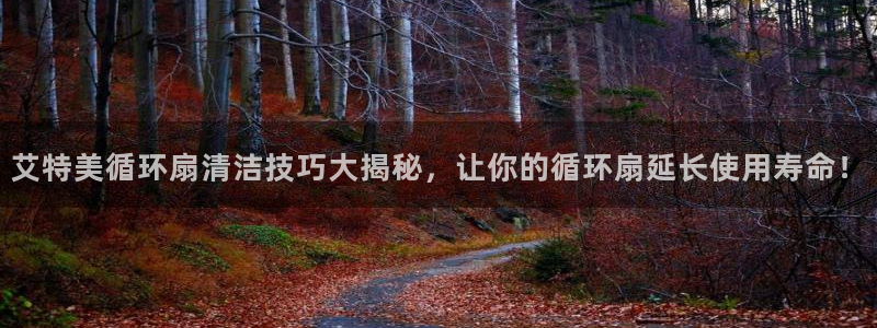 凯发k8旗舰厅app下载i来就送38元：艾特美循环扇清洁技巧大揭秘，让你的循环扇延长使用寿命！