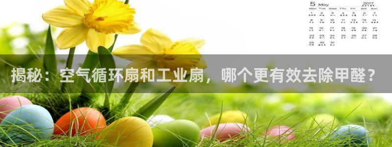 凯发K8登录入口：揭秘：空气循环扇和工业扇，哪个更有效去除甲醛？