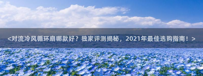 凯发k8娱乐：<对流冷风循环扇哪款好？独家评测揭秘，2021年最佳选购指南！>