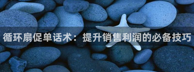 凯发网官网：循环扇促单话术：提升销售利润的必备技巧