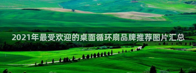 凯发k8国际娱乐版：2021年最受欢迎的桌面循环扇品牌推荐图片汇总