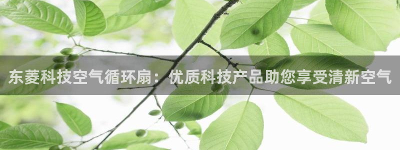 凯发旗舰平台：东菱科技空气循环扇：优质科技产品助您享受清新空气