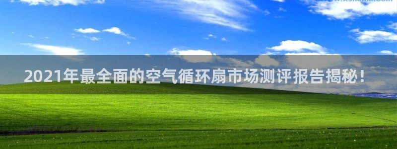 凯发手机官网客户端：2021年最全面的空气循环扇市场测评报告揭秘！