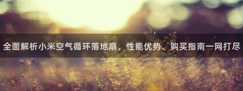 凯发K8登录入口：全面解析小米空气循环落地扇，性能优势、购买指南一网打尽