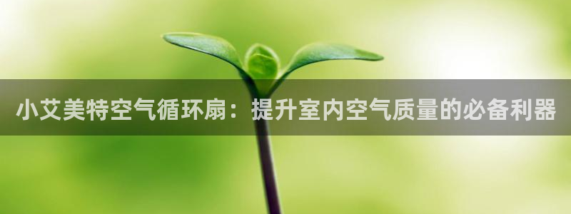 凯发登录网址：小艾美特空气循环扇：提升室内空气质量的必备利器