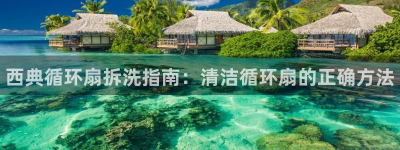 凯发国际娱乐官网k8：西典循环扇拆洗指南：清洁循环扇的正确方法