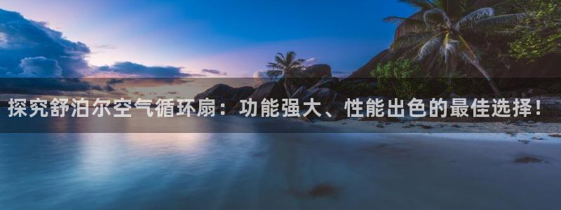 凯发k8娱乐平台网址：探究舒泊尔空气循环扇：功能强大、性能出色的最佳选择！