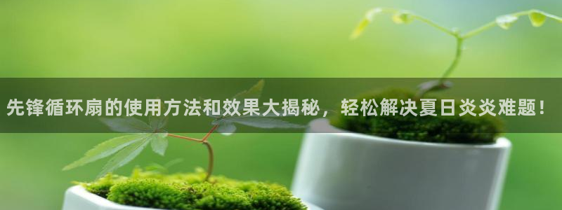 凯发app可信吗：先锋循环扇的使用方法和效果大揭秘，轻松解决夏日炎炎难题！