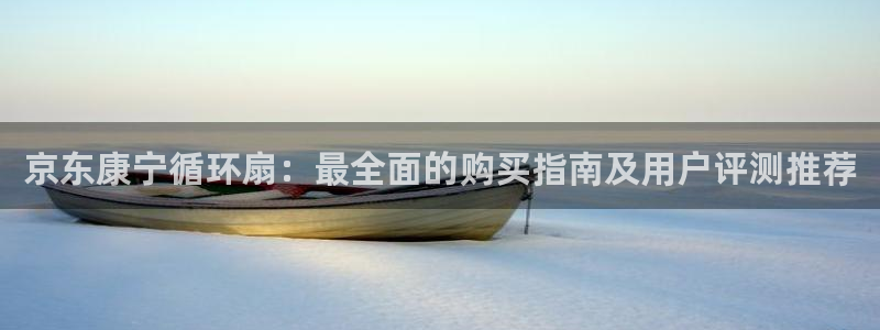 凯发k8娱乐平台：京东康宁循环扇：最全面的购买指南及用户评测推荐