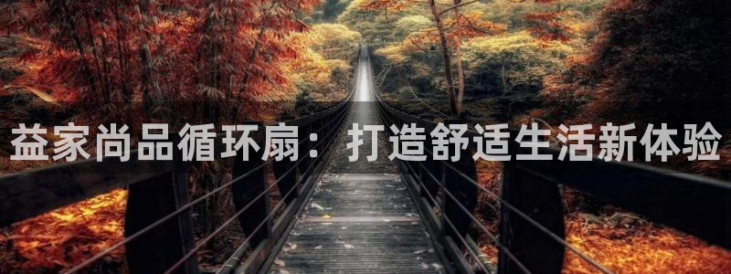 凯发k8娱乐是什么平台：益家尚品循环扇：打造舒适生活新体验