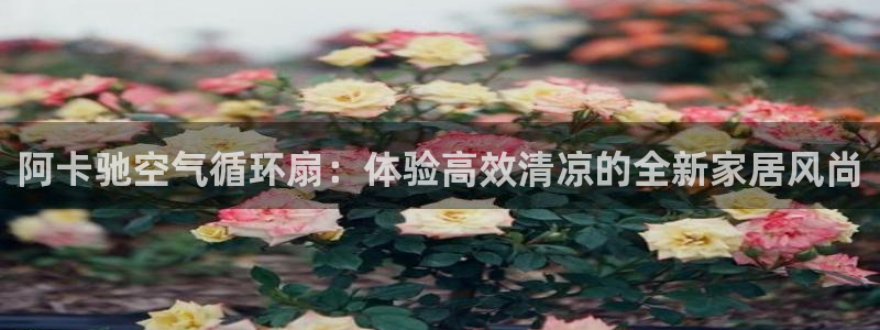 凯发k8全球公开加盟：阿卡驰空气循环扇：体验高效清凉的全新家居风尚