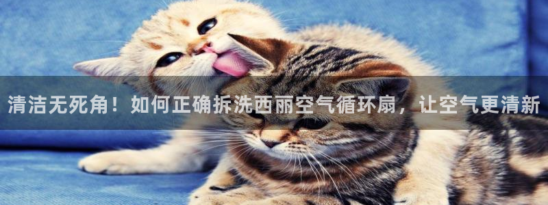凯发k8官方旗舰店app：清洁无死角！如何正确拆洗西丽空气循环扇，让空气更清新