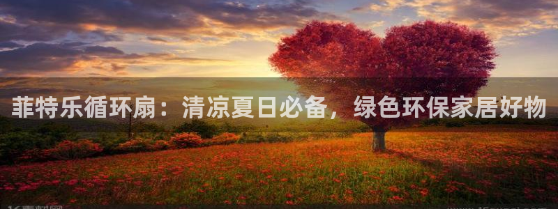 凯发k8娱乐官网网址中心：菲特乐循环扇：清凉夏日必备，绿色环保家居好物