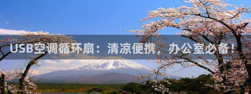 凯发线上客户端免费下载：USB空调循环扇：清凉便携，办公室必备！