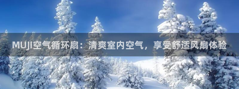 凯发旗舰网站：MUJI空气循环扇：清爽室内空气，享受舒适风扇体验