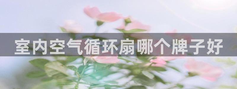 凯发k8国际真人娱乐手机app：室内空气循环扇哪个牌子好