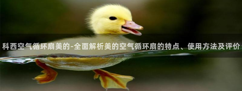 凯发k8登录首页：科西空气循环扇美的-全面解析美的空气循环扇的特点、使用方法及评价