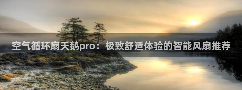 凯发k8娱乐是哪个国家的：空气循环扇天鹅pro：极致舒适体验的智能风扇推荐