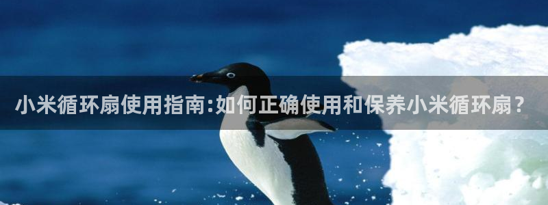 凯发官方手机app：小米循环扇使用指南:如何正确使用和保养小米循环扇？