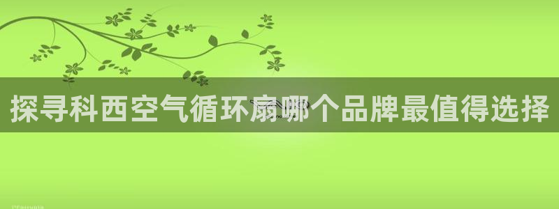 凯发k8国际app：探寻科西空气循环扇哪个品牌最值得选择