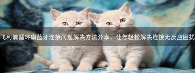 凯发k8手机是正品吗：飞利浦循环扇蓝牙连接问题解决方法分享，让您轻松解决连接无反应困扰