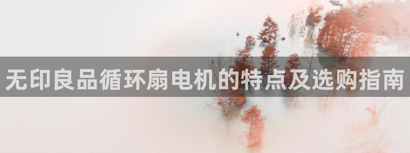 凯发注册平台安卓版下载：无印良品循环扇电机的特点及选购指南