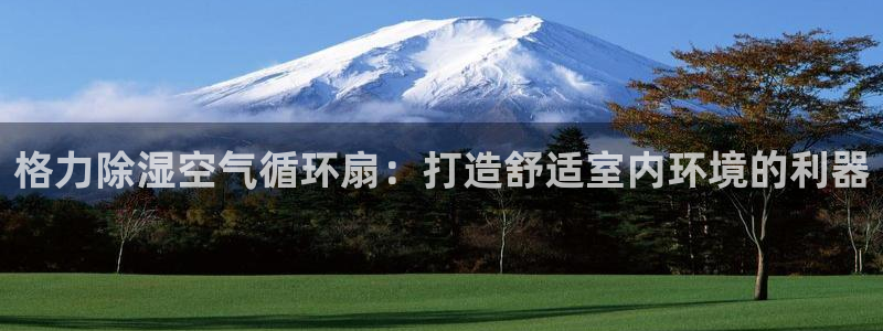 凯发k8国际 不能提款了：格力除湿空气循环扇：打造舒适室内环境的利器