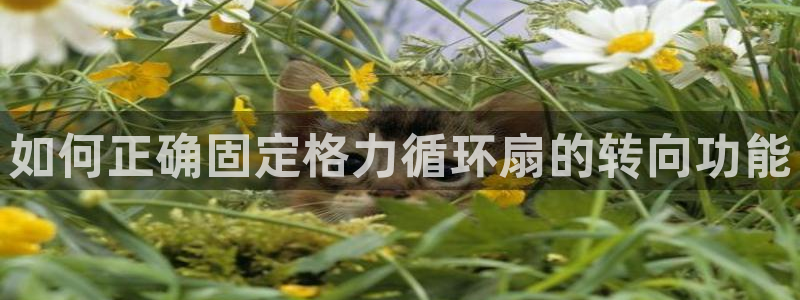 凯发k8ag85856：如何正确固定格力循环扇的转向功能
