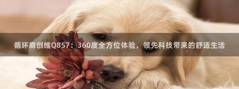 凯发娱乐国际厅：循环扇创维Q857：360度全方位体验，领先科技带来的舒适生活