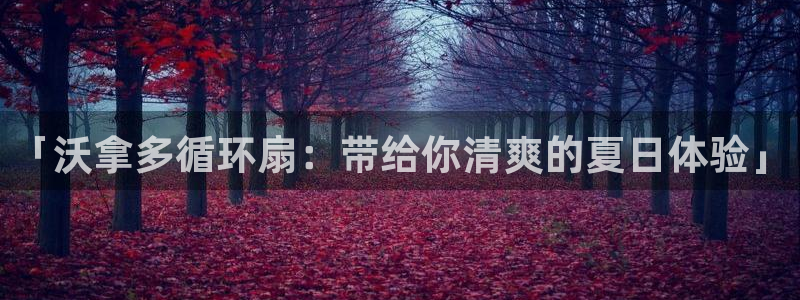 凯发旗舰厅官网：「沃拿多循环扇：带给你清爽的夏日体验」