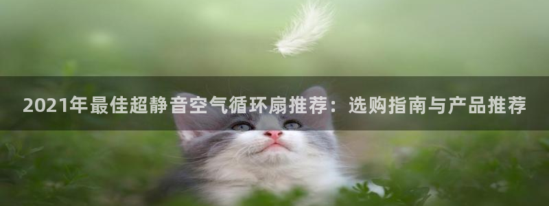 凯发手机官网客户端：2021年最佳超静音空气循环扇推荐：选购指南与产品推荐