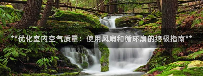 凯发唯一官方网站：**优化室内空气质量：使用风扇和循环扇的终极指南**