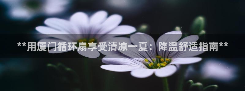 凯发k8官方网娱乐官方：**用厦门循环扇享受清凉一夏：降温舒适指南**