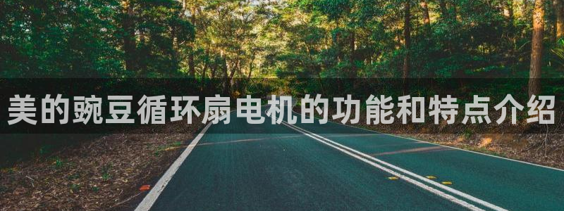 凯发手机官网：美的豌豆循环扇电机的功能和特点介绍
