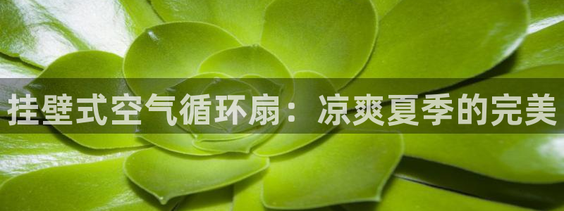 凯发国际平台官网：挂壁式空气循环扇：凉爽夏季的完美